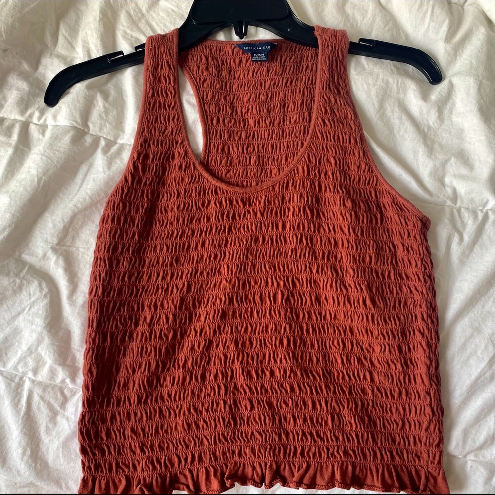 American Eagle Crop Top